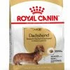Royal Canin Breed Dachshund Teckel Adult