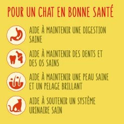 Friskies Met Vis Voor Volwassen Katten -winkel voor hondenvoer lm 191f0e3dad99908345f7439f8ffabdffc41666018215