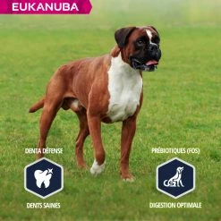 Eukanuba Breed Specific Boxer -winkel voor hondenvoer lm 2003644a684f98ea8fe223c713b77189a771641828131