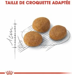 Royal Canin Aroma Exigent -winkel voor hondenvoer lm 202854d6fae5ee42911677c739ee17344861555681618