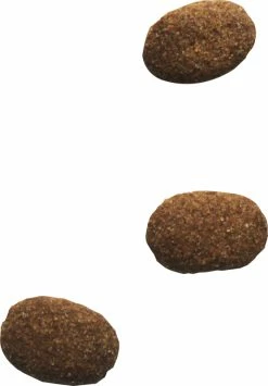 BIOFOOD Giant 23/10 -winkel voor hondenvoer lm 202854d6fae5ee42911677c739ee17344861651153925