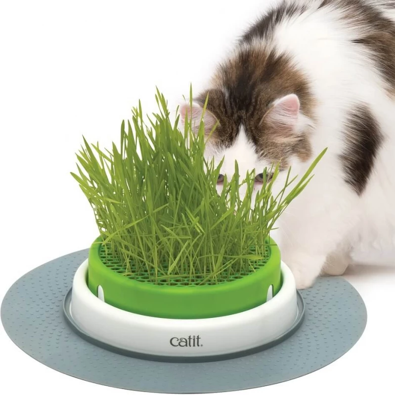 Cat-it Grass Planter Cat It Senses 2.0 4 Cat-it Grass Planter Cat It Senses 2.0 - Afbeelding 2