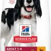 HILL'S Science Plan Adult Medium - Met Kip -winkel voor hondenvoer lm 211eb163727917cbba1eea208541a643e741573818372