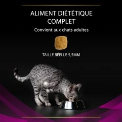 PURINA PRO PLAN VETERINARY DIETS PRO PLAN Veterinary Diets Feline UR ST/OX URINARY, Kip -winkel voor hondenvoer lm 213979d472a84804b9f647bc185a877a8b51666337239