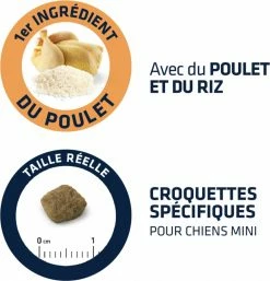 Affinity Advance Advance Mini Senior 8+ Met Kip -winkel voor hondenvoer lm 213c59dc048e8850243be8079a5c74d0791567003047