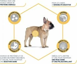 Affinity Advance Advance Mini Sensitive Met Zalm 11 Affinity Advance Advance Mini Sensitive Met Zalm -winkel voor hondenvoer lm 221060ad92489947d410d897474079c14771568041471