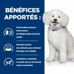 Hill's Prescription Diet K/d Early Stage -winkel voor hondenvoer lm 222bcbe3365e6ac95ea2c0343a2395834dd1646402973