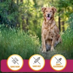 Iams Vitality Dog Senior, Met Kip -winkel voor hondenvoer lm 223115f89503138416a242f40fb7d7f338e1604660007