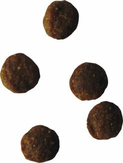 BIOFOOD Senior Cat 100% Natuurlijk Kattenvoer -winkel voor hondenvoer lm 227705f2172834666788607efbfca35afb31653486291