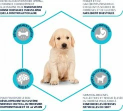 AFFINITY ADVANCE PUPPY MAXI Baby Protect, Met Kip -winkel voor hondenvoer lm 2306da9003b743b65f4c0ccd295cc484e571568989495