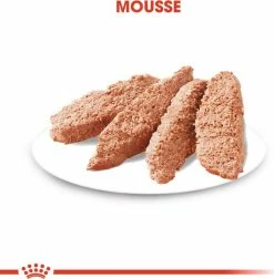Royal Canin Digestive Care Mousse -winkel voor hondenvoer lm 233e165421110ba03099a1c0393373c5b431592832878
