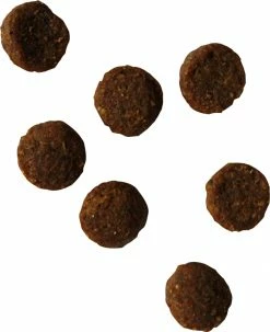 BIOFOOD Puppy 30/20 Met Kip -winkel voor hondenvoer lm 237539fd53b59e3bb12d203f45a912eeaf21651150336