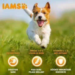 Iams Vitality Dog Small & Medium -winkel voor hondenvoer lm 239555d6702c950ecb729a966504af0a6351604659696