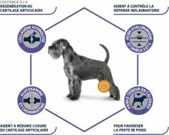 Advance Veterinary Diets Articular Care Reduced Calorie -winkel voor hondenvoer lm 240335f5352088d7d9bf74191e006d8e24c1568988409