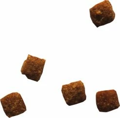 BIOFOOD MINI SENIOR 26/13, Met Gevogelte -winkel voor hondenvoer lm 242e4a6222cdb5b34375400904f03d8e6a51651849242