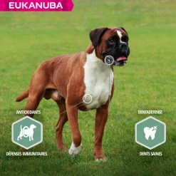 Eukanuba Daily Care Sensitive Joints -winkel voor hondenvoer lm 2506c9882bbac1c7093bd250418812776581641825039