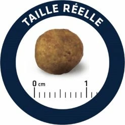 Advance Veterinary Diets Gastroenteric -winkel voor hondenvoer lm 26236660e59856b4de58a219bcf4e27eba31580132992