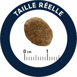 Advance Veterinary Diets Urinary -winkel voor hondenvoer lm 2702e74f10e0327ad868d138f2b4fdd6f01580133565