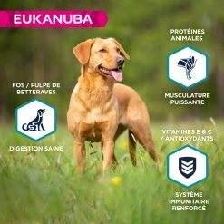 EUKANUBA Grain Free Adult S/M -winkel voor hondenvoer lm 27039059724f73a9969845dfe4146c5660e1635501085