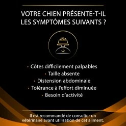 PURINA PRO PLAN VETERINARY DIETS Pro Plan Veterinary Diets Canine OM Obesity Management -winkel voor hondenvoer lm 2717f100b7b36092fb9b06dfb4fac3609311666345822