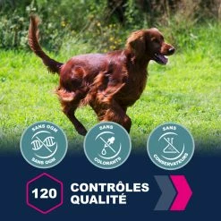 Eukanuba Active Adult Medium Breed -winkel voor hondenvoer lm 2734734ba6f3de83d861c3176a6273cac6d1641822126