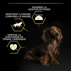 PRO PLAN Small & Mini Adult Light Sterilised 17 PRO PLAN Small & Mini Adult Light Sterilised -winkel voor hondenvoer lm 279d395771085aab05244a4fb8fd91bf4ee1684095546