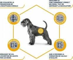 Advance Veterinary Diets Renal -winkel voor hondenvoer lm 281e3796ae838835da0b6f6ea37bcf8bcb71568989974