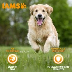 Iams Vitality Dog Senior, Met Kip -winkel voor hondenvoer lm 2850e01938fc48a2cfb5f2217fbfb00722d1604659954