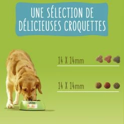 FRISKIES Dog Vitafit Light, Met Kip -winkel voor hondenvoer lm 2946883966fd8f918a4aa29be29d2c386fb1666343671