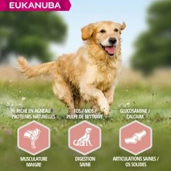 Eukanuba Senior Large, Lamb & Rice -winkel voor hondenvoer lm 3163fe94a002317b5f9259f82690aeea4cd1608307262