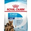 Royal Canin Maxi Starter Mother & Babydog -winkel voor hondenvoer lm 326a666587afda6e89aec274a3657558a271654684872