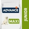 Affinity Advance Advance Maxi Junior - Met Kip 1 Affinity Advance Advance Maxi Junior - Met Kip -winkel voor hondenvoer lm 3433ad7c2ebb96fcba7cda0cf54a2e802f51570716724