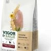 Vigor & Sage Vigor & Sage Ginseng Well-Being Regular Adult Dog -winkel voor hondenvoer lm 347c5ff2543b53f4cc0ad3819a36752467b1600327359