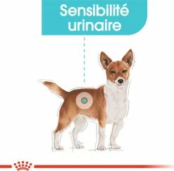 Royal Canin Mini Urinary Care Mini -winkel voor hondenvoer lm 351c383cd30b7c298ab50293adfecb7b181639401473