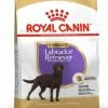 Royal Canin Breed Labrador Retriever Sterilised Adult -winkel voor hondenvoer lm 352371bce7dc83817b7893bcdeed13799b51581344449