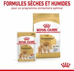 Royal Canin Breed Natvoer Voor Volwassen Dwergkees -winkel voor hondenvoer lm 375f61d6947467ccd3aa5af24db320235dd1639563980