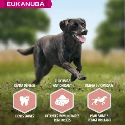 Eukanuba Senior Large, Lamb & Rice -winkel voor hondenvoer lm 377d34ab169b70c9dcd35e62896010cd9ff1608307280