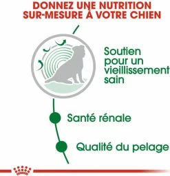 Royal Canin Mini Ageing 12+ -winkel voor hondenvoer lm 377d34ab169b70c9dcd35e62896010cd9ff1639142744