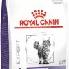 Royal Canin Veterinary Diet Dental DSO29 1 Royal Canin Veterinary Diet Dental DSO29 -winkel voor hondenvoer lm 3788bf1211fd4b7b94528899de0a43b9fb31666791333