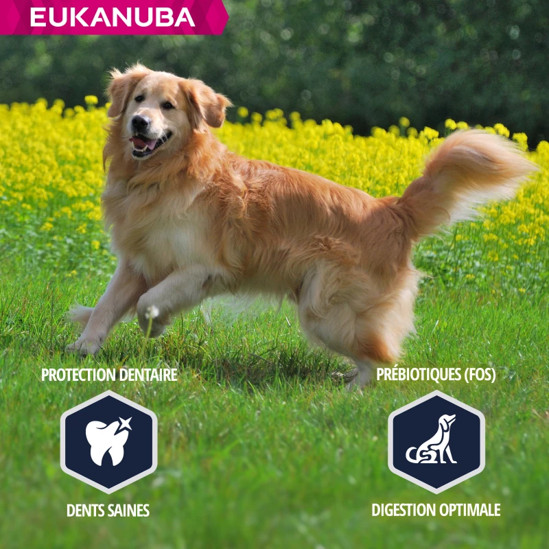 Eukanuba Breed Specific Golden Retriever 6 Eukanuba Breed Specific Golden Retriever - Afbeelding 4
