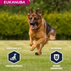Eukanuba Breed Specific Duitse Herder -winkel voor hondenvoer lm 389c86a7ee3d8ef0b551ed58e354a836f2b1641826590