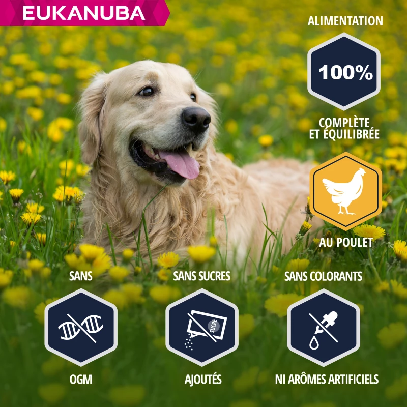 Eukanuba Breed Specific Golden Retriever 4 Eukanuba Breed Specific Golden Retriever - Afbeelding 2