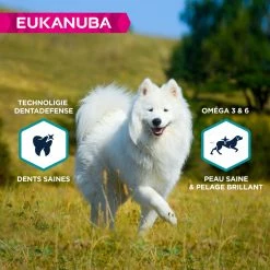 EUKANUBA Grain Free Adult S/M -winkel voor hondenvoer lm 392f73b76ce8949fe29bf2a537cfa420e8f1635501139