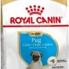 Royal Canin Breed Puppy Pug 1 Royal Canin Breed Puppy Pug -winkel voor hondenvoer lm 39428f0b864598a1291557bed248a998d4e1581412607