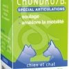 GREENVET GREEN VET Chondro/B - Voedingssupplement Voor Gewrichten Voor Katten En Honden -winkel voor hondenvoer lm 40018d8042386b79e2c279fd162df0205c81544177930