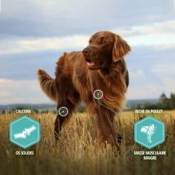 Eukanuba Daily Care Sensitive Digestion -winkel voor hondenvoer lm 401816b112c6105b3ebd537828a39af48181641824359