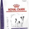 Royal Canin Veterinary Diets Dental Special Small DSD25 -winkel voor hondenvoer lm 413416a75f4cea9109507cacd8e2f2aefc1666791843