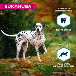 EUKANUBA Gran Free Dog Adult L/XL -winkel voor hondenvoer lm 4168fe0093bb30d6f8c31474bd0764e6ac01635499258