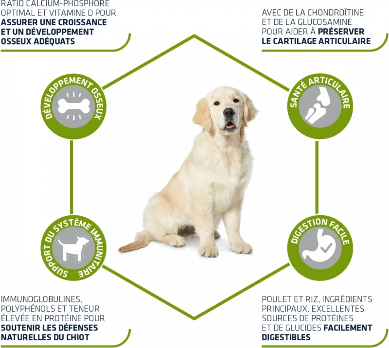 Affinity Advance Advance Maxi Junior - Met Kip 5 Affinity Advance Advance Maxi Junior - Met Kip - Afbeelding 3