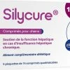 ANIDEV Axience Silycure Ondersteuning Van De Leverfunctie Voor Honden